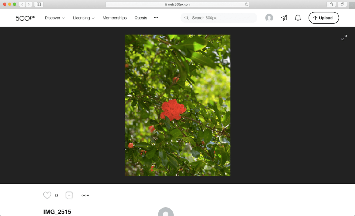 500px, a popular image sharing website