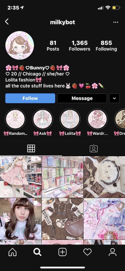Cute Instagram bio example