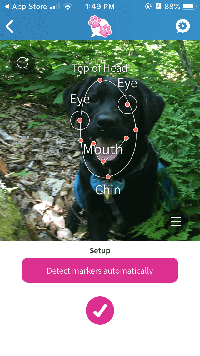 My Talking Pet, the best GIF maker app for pet videos