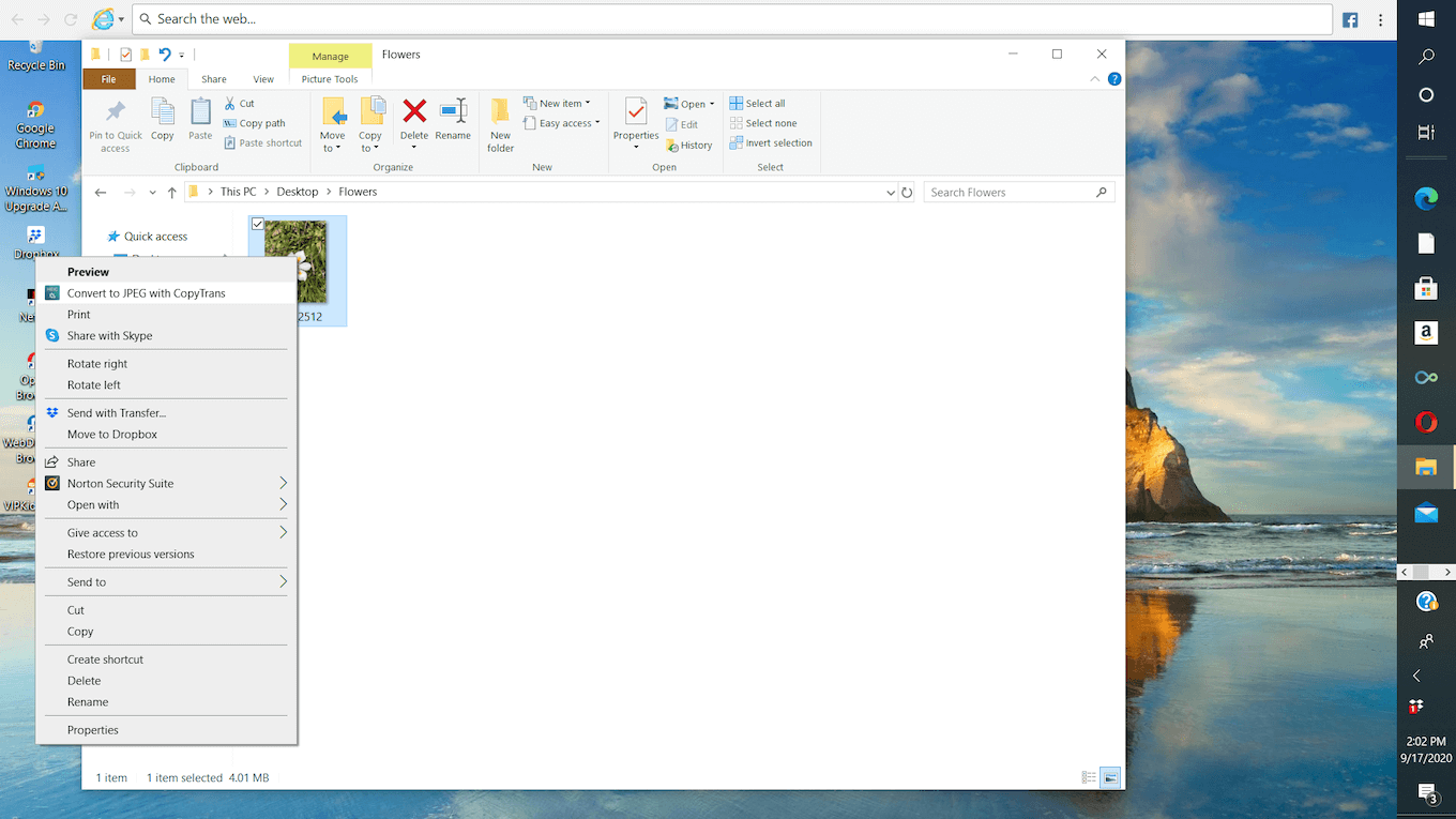 Convertidor CopyTrans HEIC para Windows 10