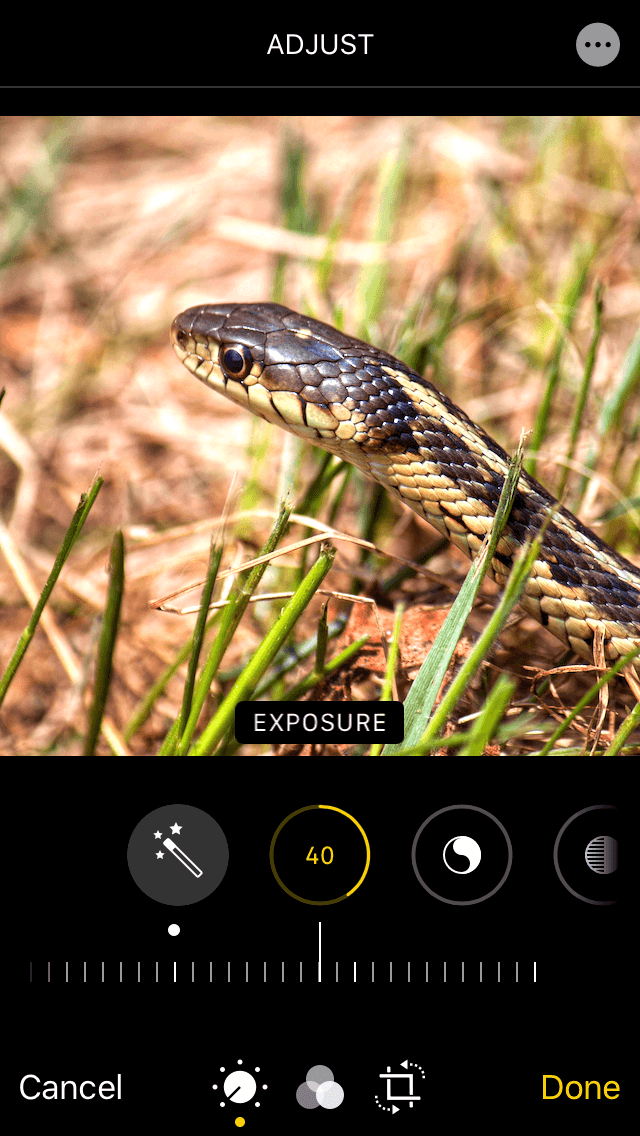How to increase exposure of an iPhone photo