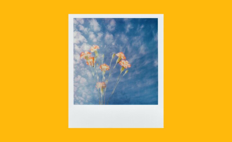 How to print Instagram photos on your iPhone and online (Header image)