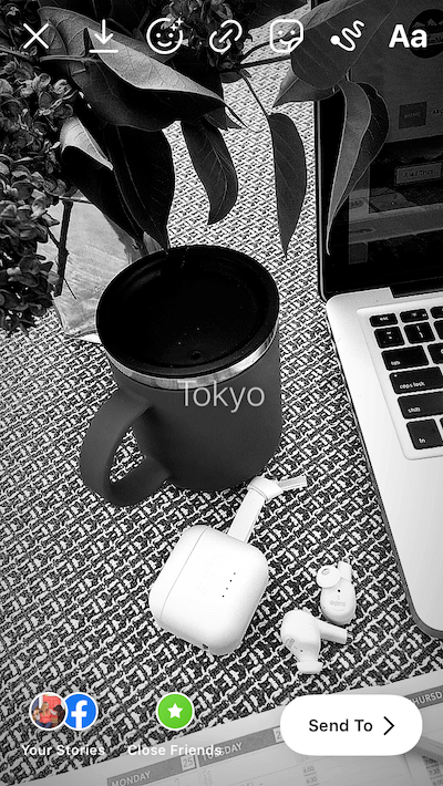 Photo with the Tokyo Story filter applied