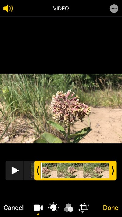 How to shorten a video in iPhone Photos