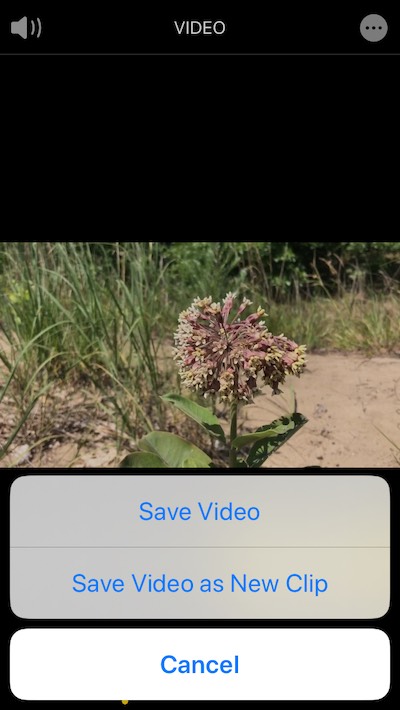 How to trim a video using iOS Photos