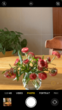 Ein Foto, das eine Nahaufnahme einer Blumenvase mit dem iPhone-Digitalzoom zeigt