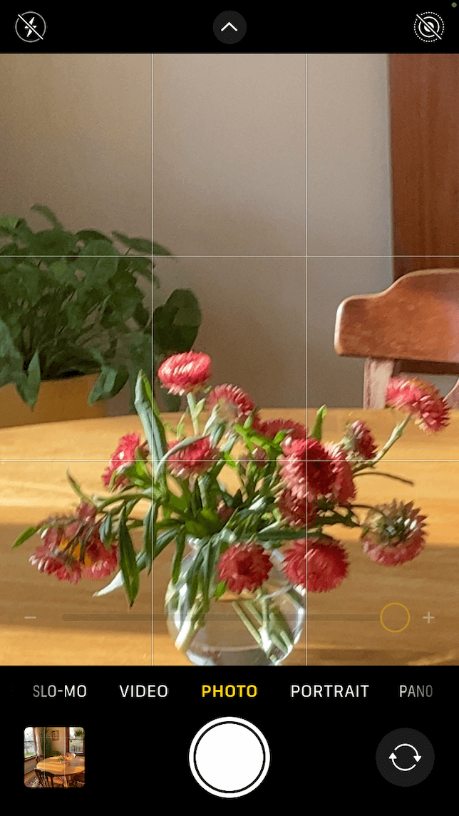 A photo showing a close up of a vase of flowers using the iPhone digital zoom