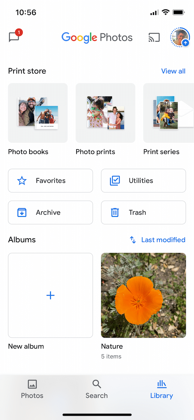Screenshot of albums in Google Photos on iOS.