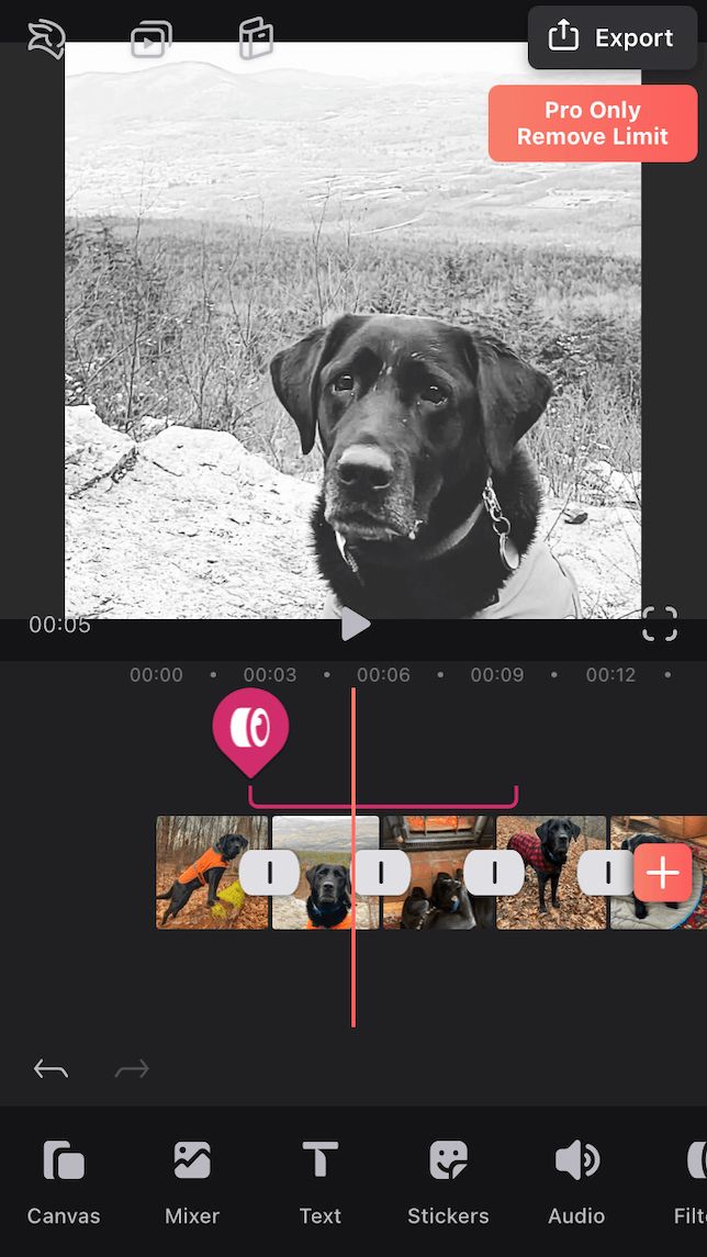 the editing screen on the Videoleap app