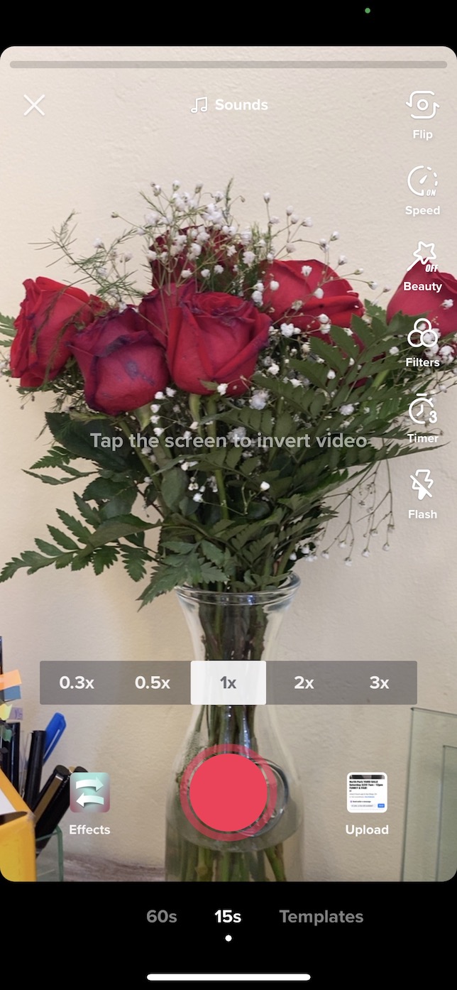 Second screenshot showing Inverted Filter on TikTok.