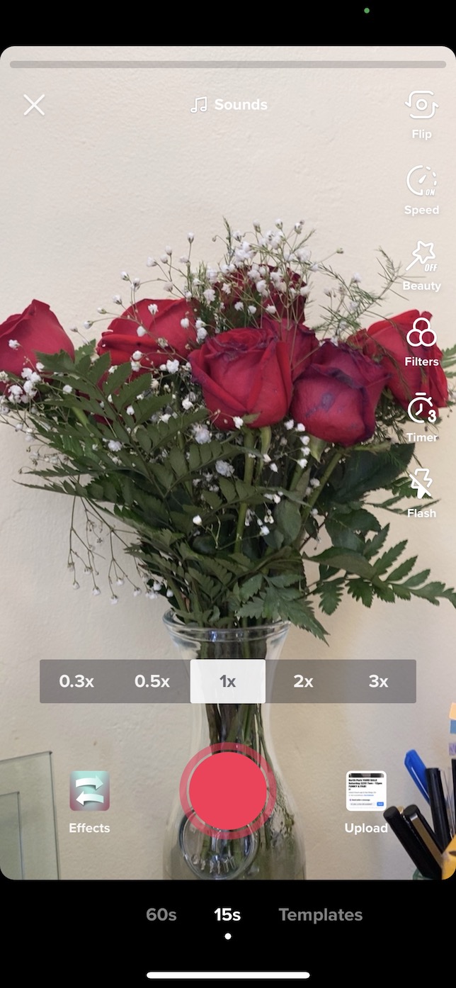 Screenshot showing Inverted Filter on TikTok.