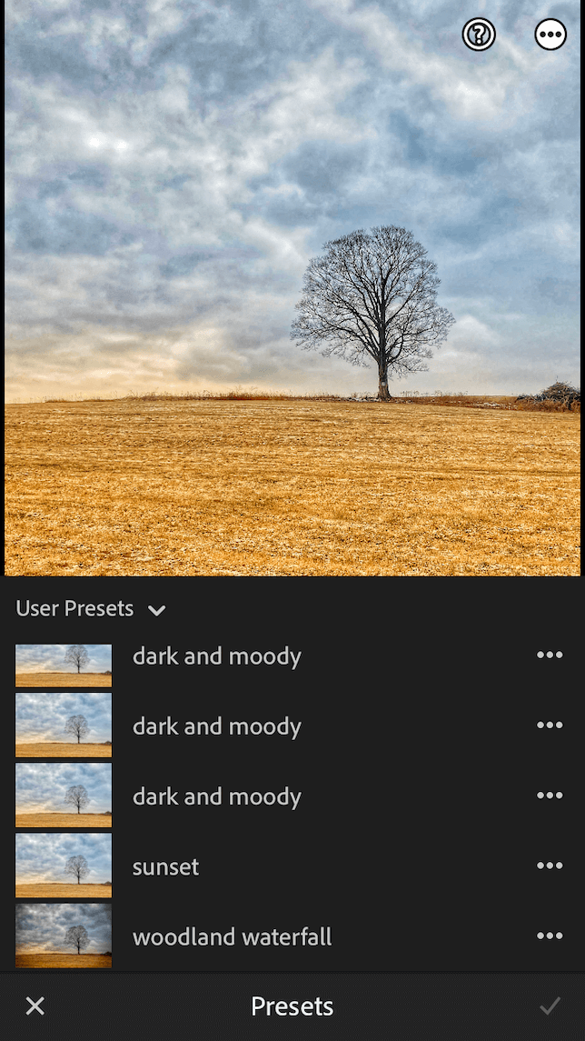 A screenshot showing a photo before adding a custom preset in Lightroom.
