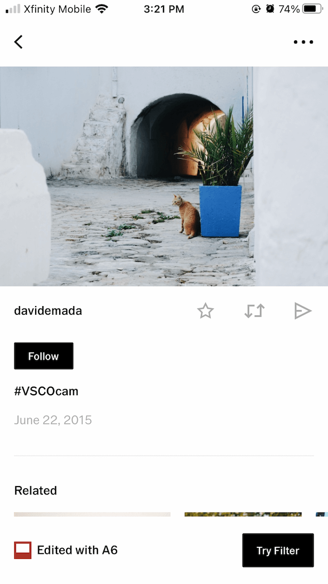 A photo featuring a small ginger cat sitting in a doorway — edited using the VSCO app.