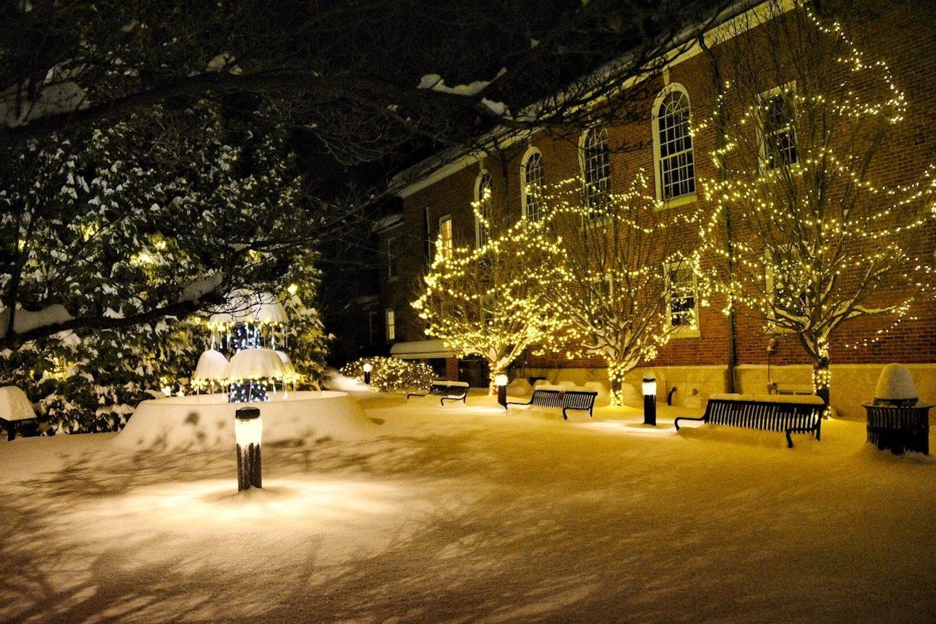 A downtown building covered with snow at night, with benches and trees showing implied lines.