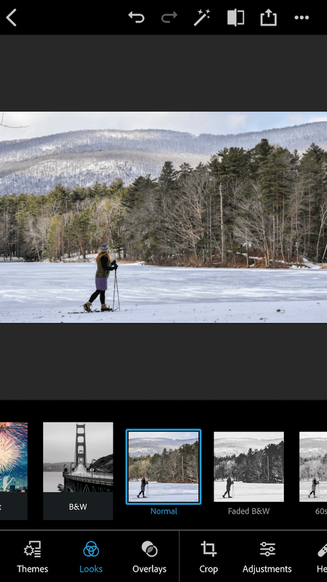 A before screenshot demonstrating how to use the Landscape filter in Photoshop Express.