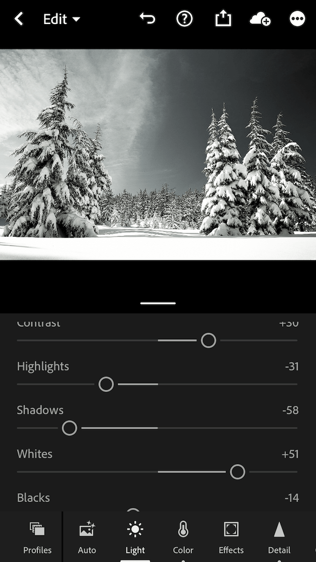 An after screenshot showing how to make a photo black and white in Lightroom.