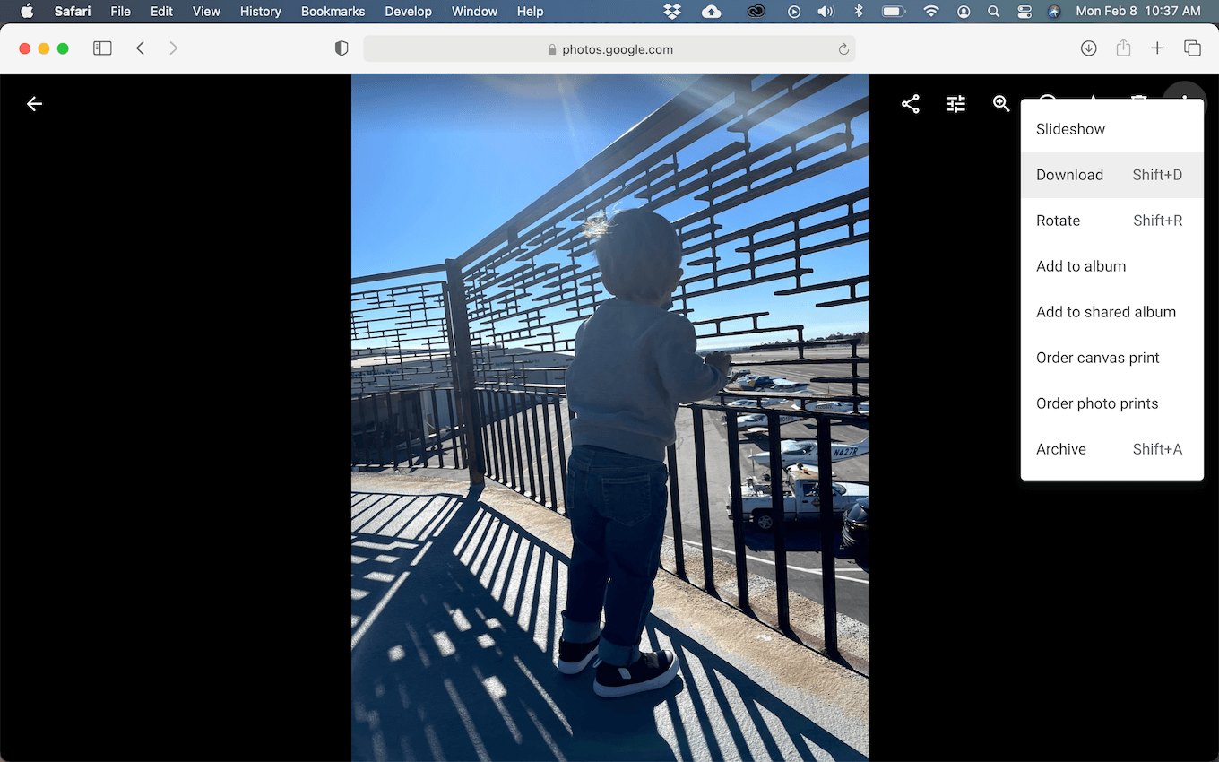 Screenshot of Google Photos in Safari on macOS.