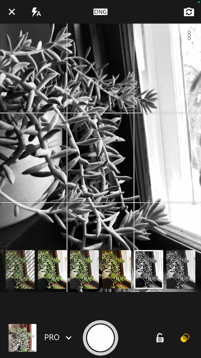 A screenshot showing a monochrome filter in Lightroom's in-app camera.