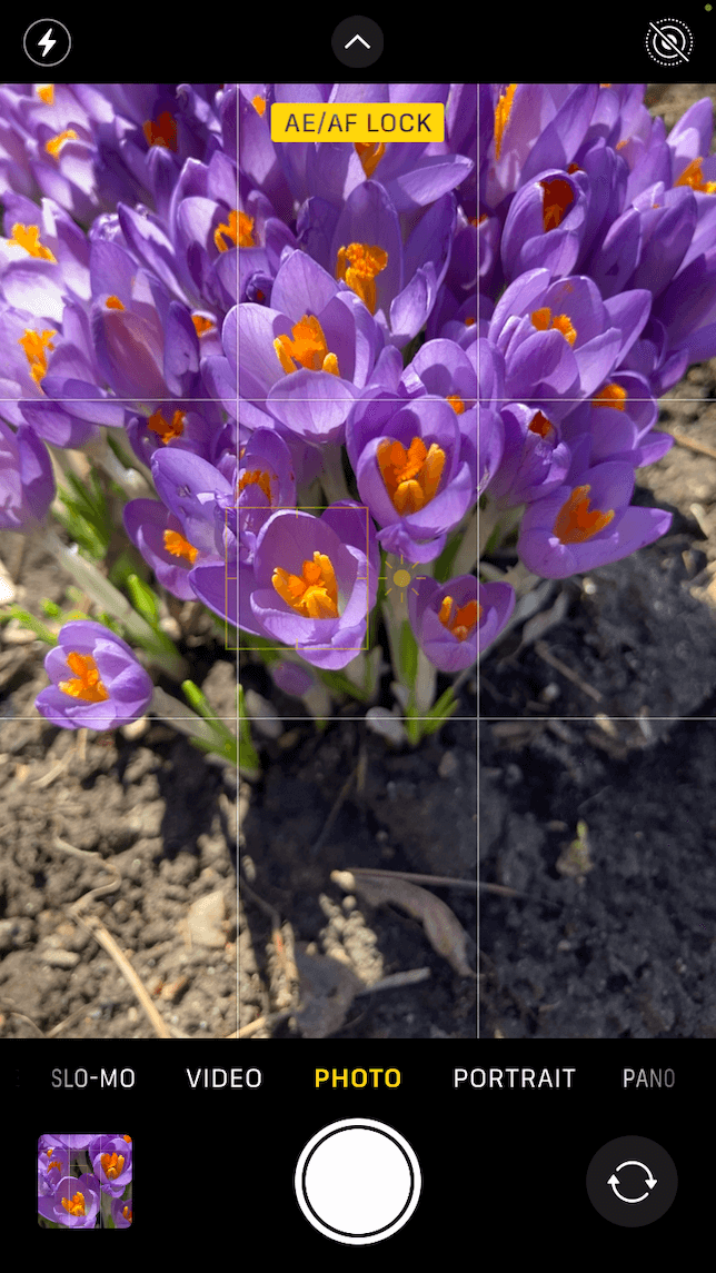 A screenshot showing how to capture great close-ups with an iPhone camera: first view.