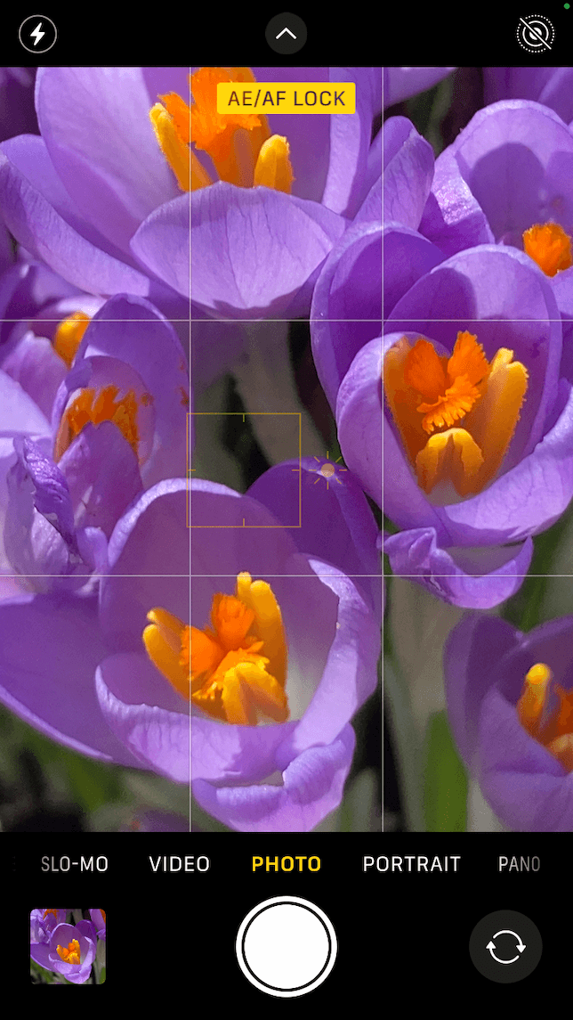 A screenshot showing how to capture close-ups with an iPhone camera using the digital zoom feature.