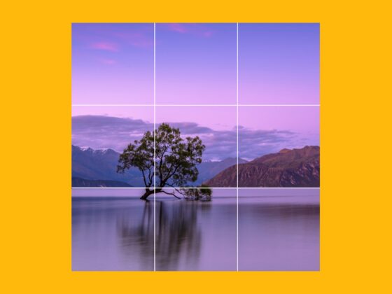 Rule of thirds in iPhone photography: How to use it to compose better shots: Header image
