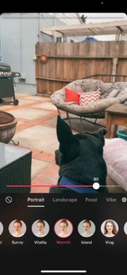 how to save a tiktok draft to camera roll how to save a tiktok draft to camera roll