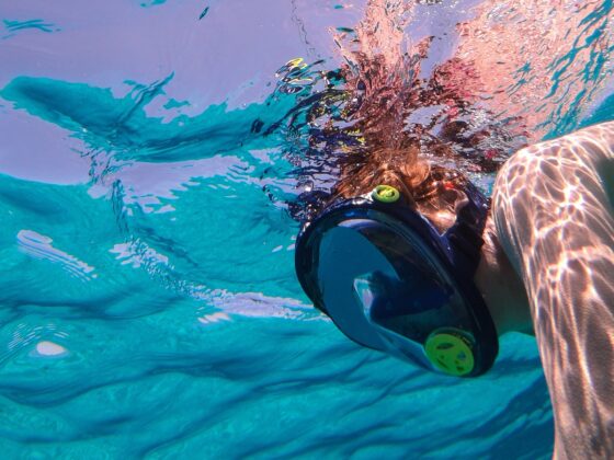 A beginner's guide to underwater photography on iPhone: Header image