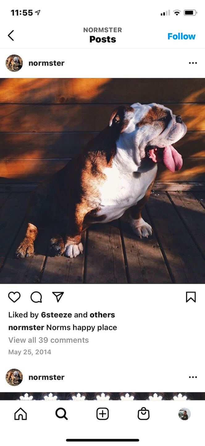 Second screenshot showing @normster's Instagram.