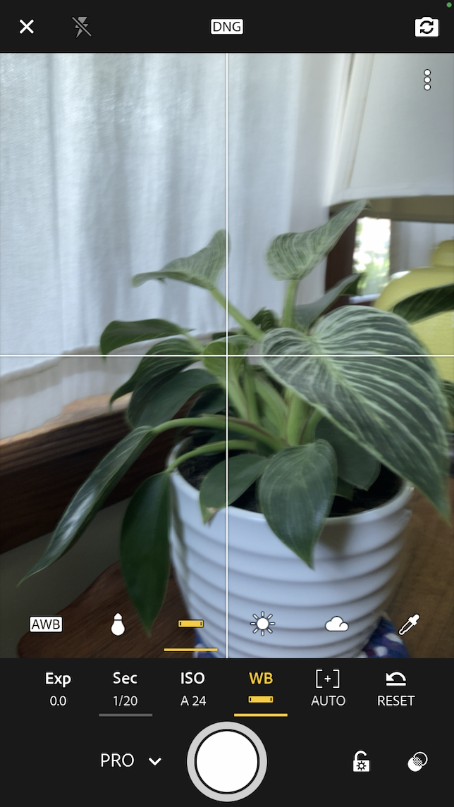 A screenshot showing the florescent white balance setting in the mobile Lightroom camera.