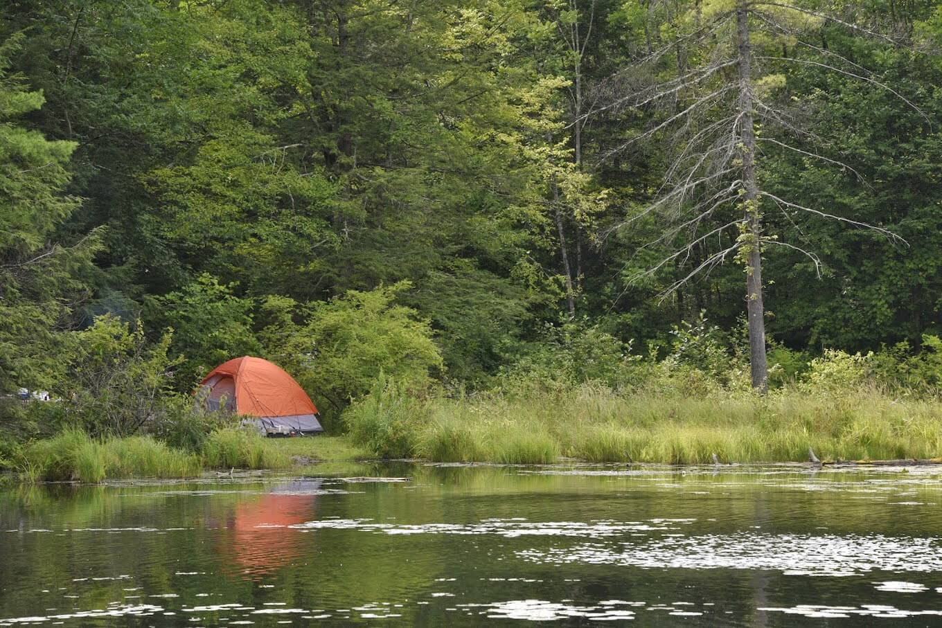 A photo of an orange tent in a green forest to demonstrate negative space photography.