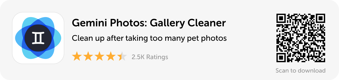 Desktop banner: Download Gemini Photos and clean up after taking too many pet photos