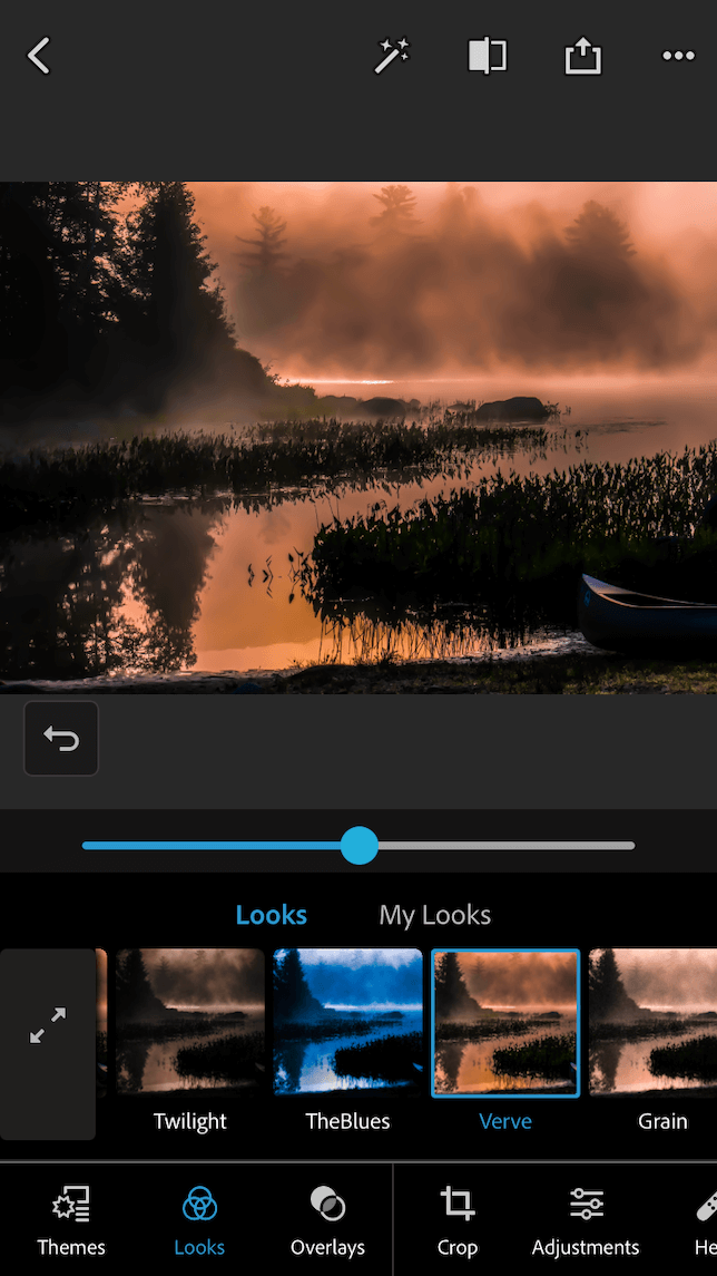 A screenshot showing a fine art filter applied to a photo of a foggy lake.
