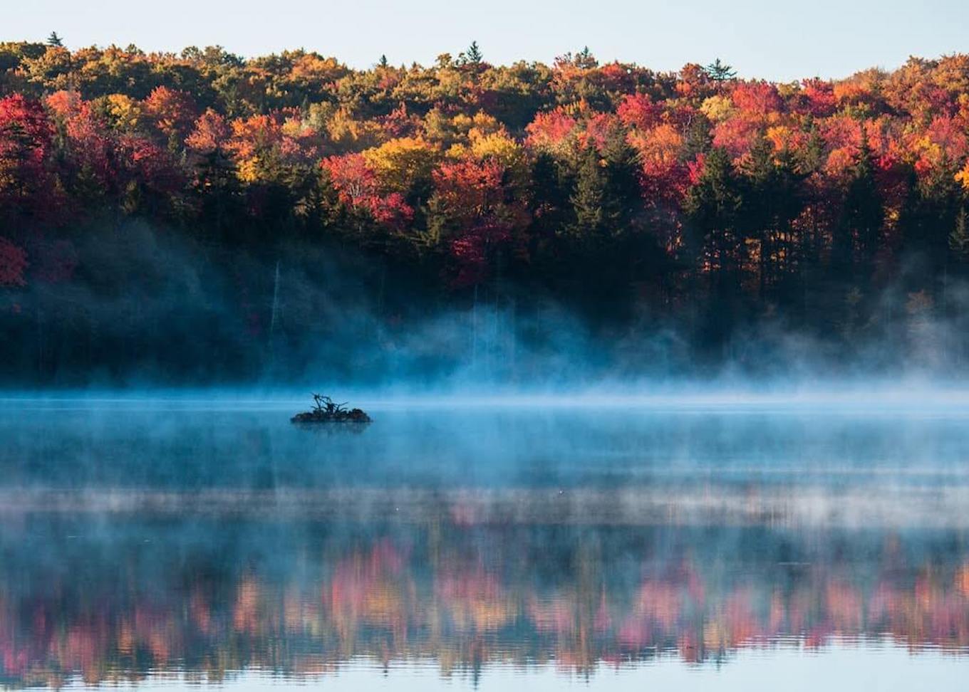 A fall photo of colorful leaves and fog rising off a lake.