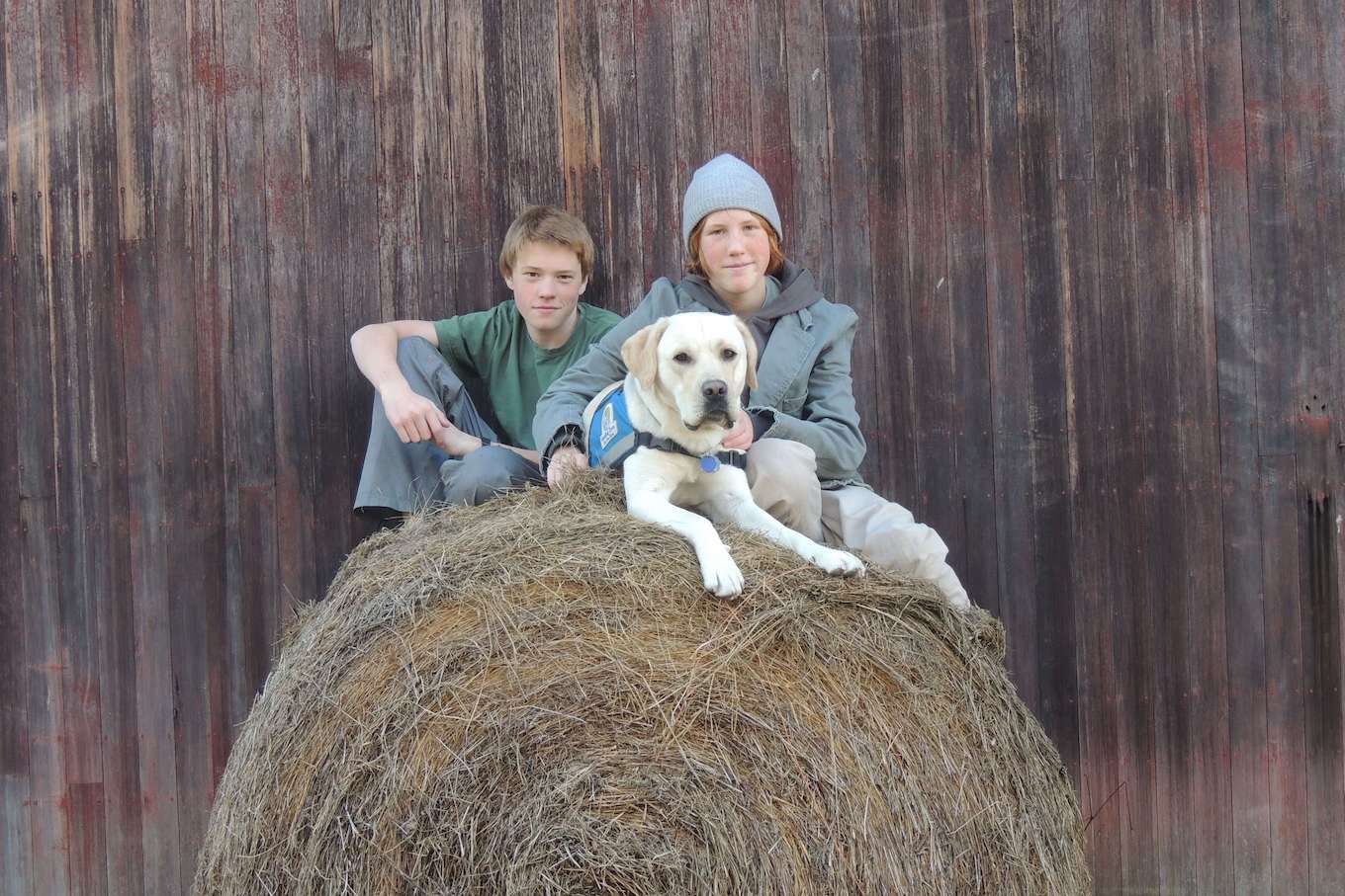 A fall portrait of two kids and a dog sitting on a hay bale.