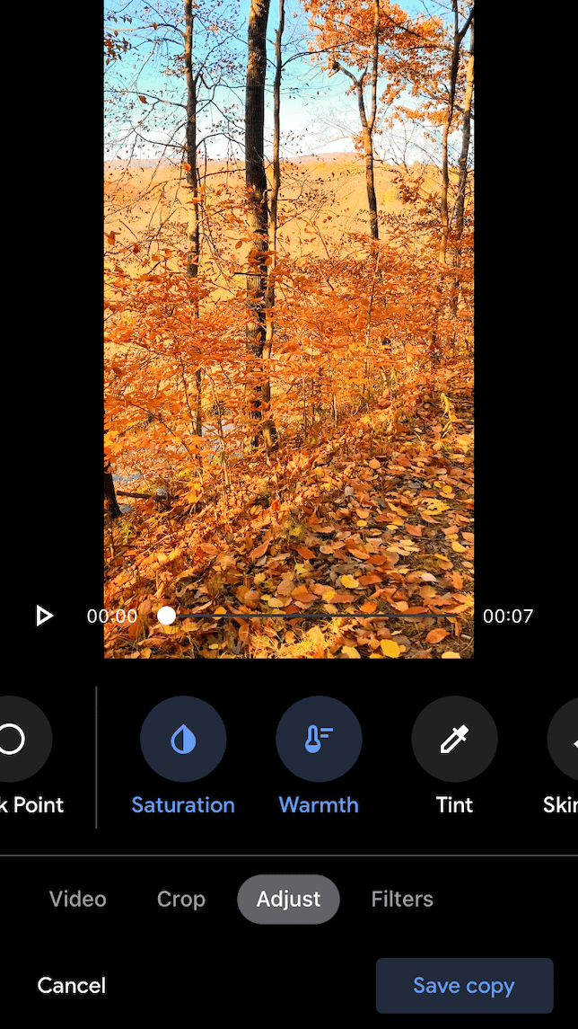 An video after adjustments are made in Google Photos editor.