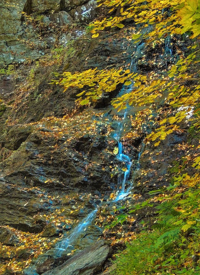 Forest photography details of a waterfall in the fall woods.