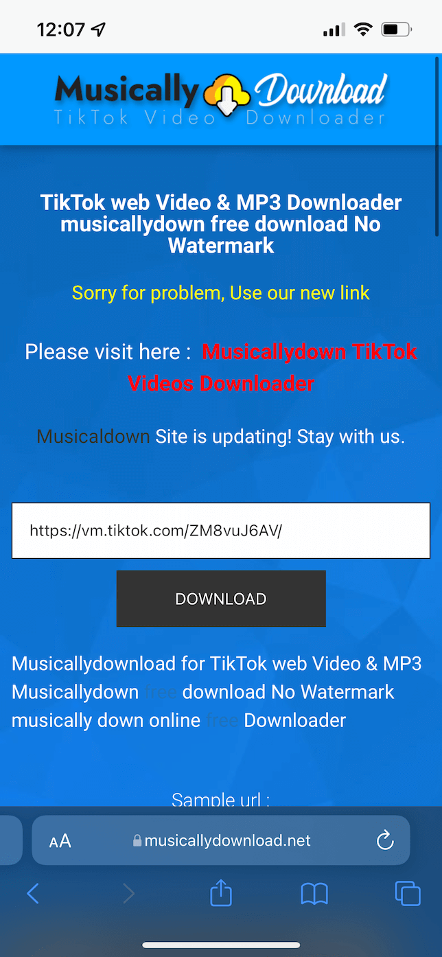 Screenshot of the website MusicallyDownload.net.