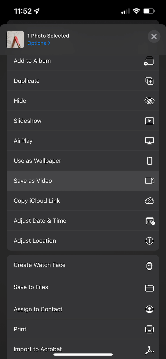 Share window in Photos app showing the Save as Video button.