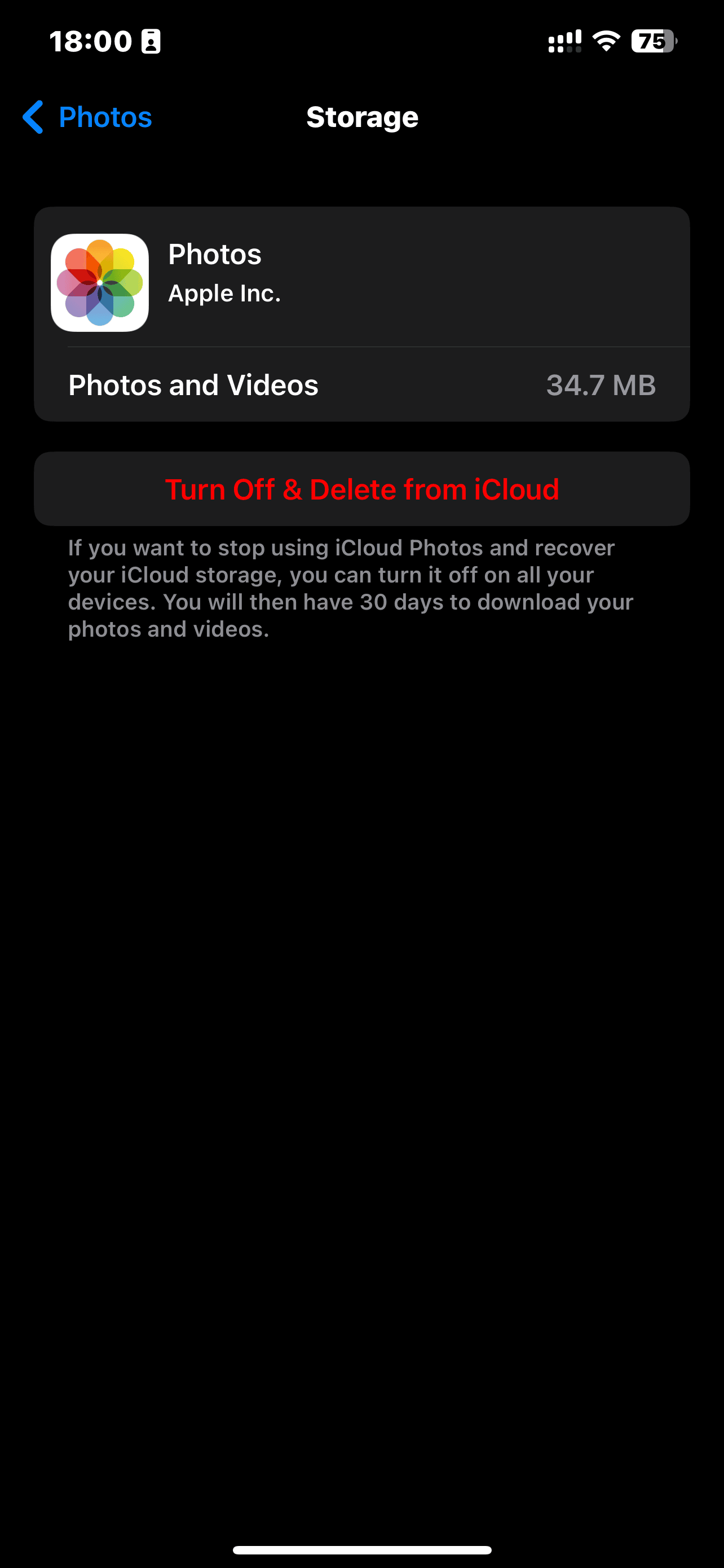 iCloud Settings