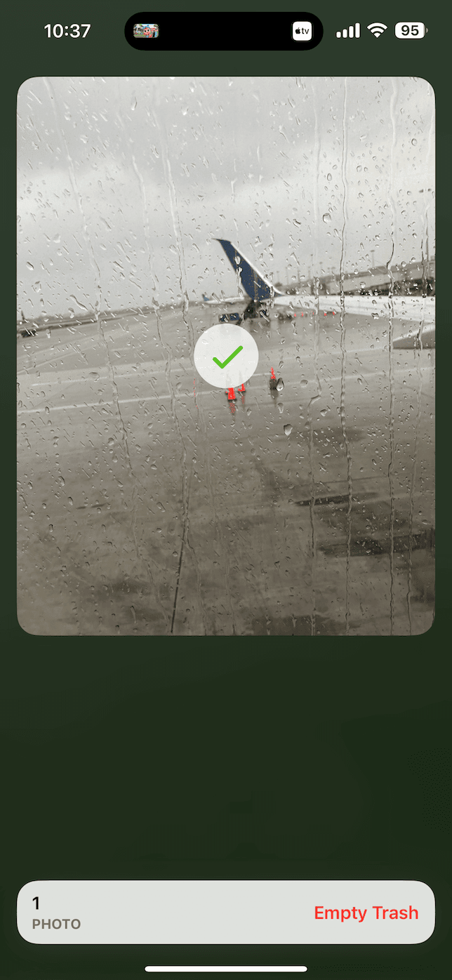 selected photo on iPhone