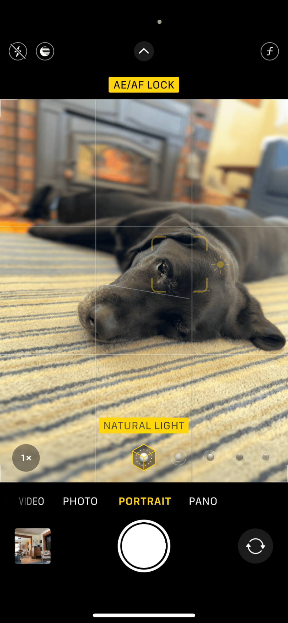 shooting mode on iPhone camera – natural light