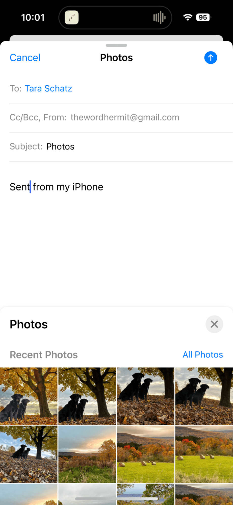 How to attach a photo to email on iPhone: the Mail app