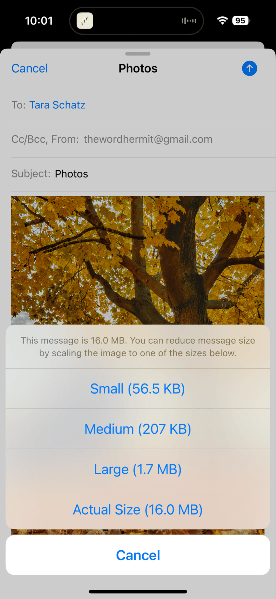 Attaching a photo to email on iPhone