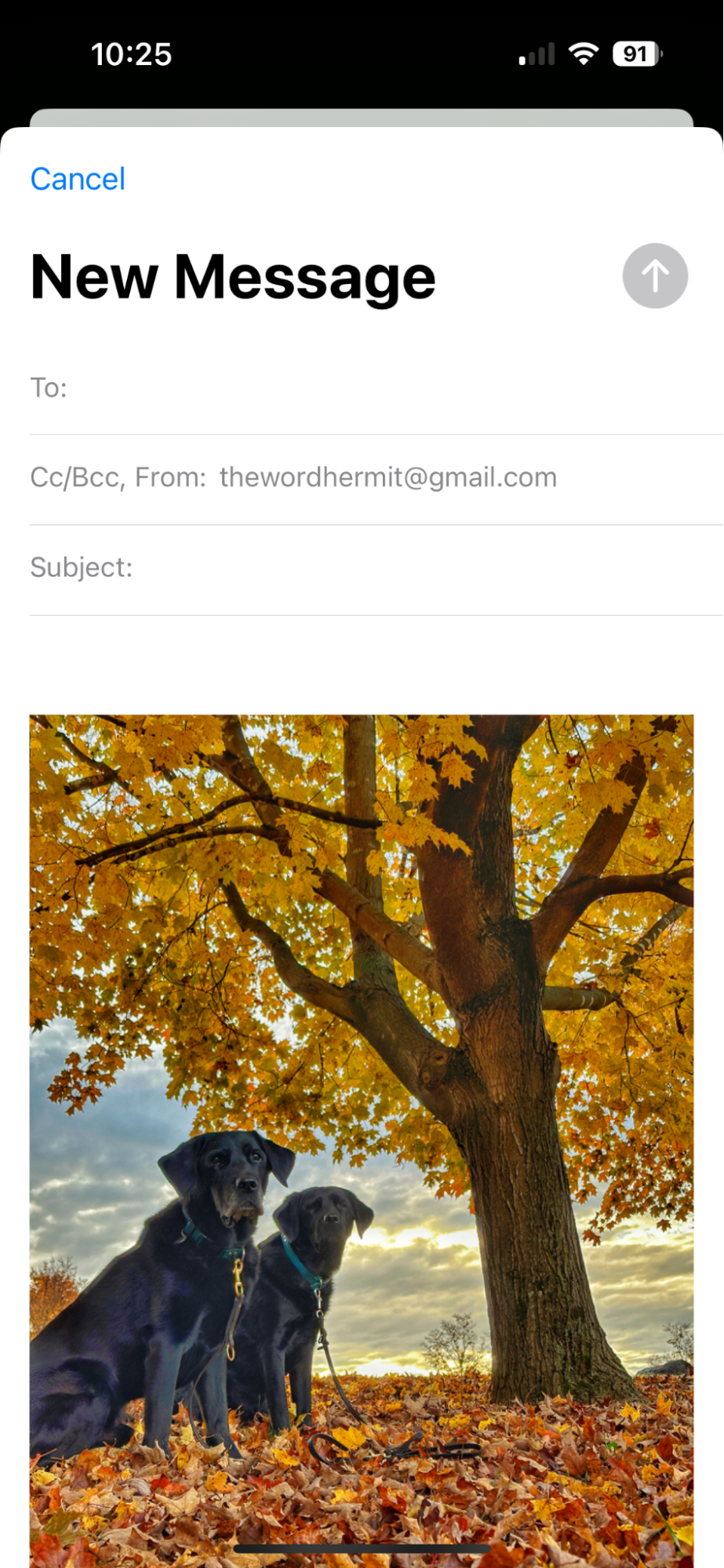 How to email a photo from iPhone